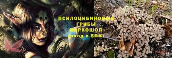 спиды Зеленодольск