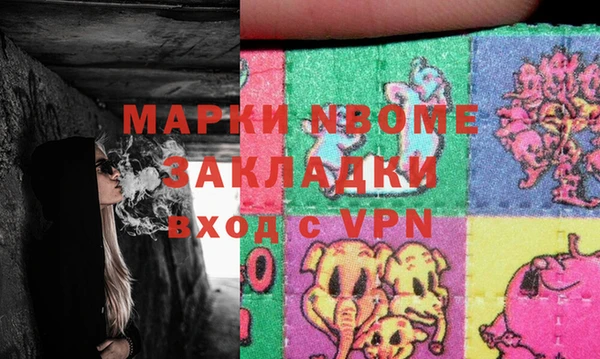 стафф Инта